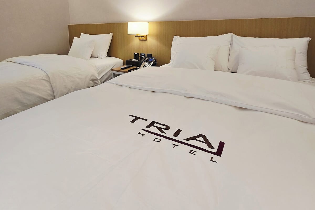 Rideaux occultants, chambres insonorisées, Wi-Fi gratuit