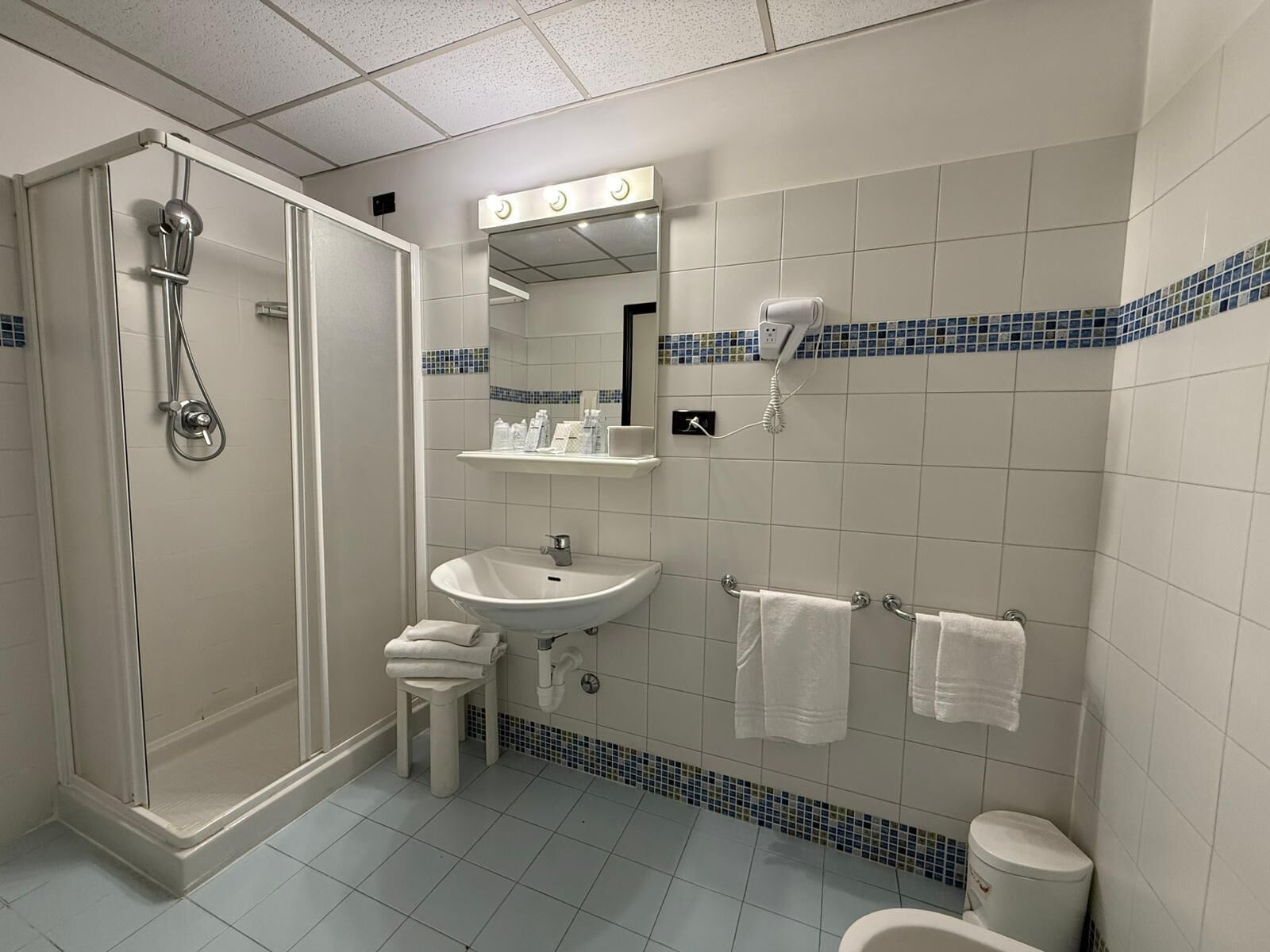 Et badeværelse med bruser, vask og toilet.
