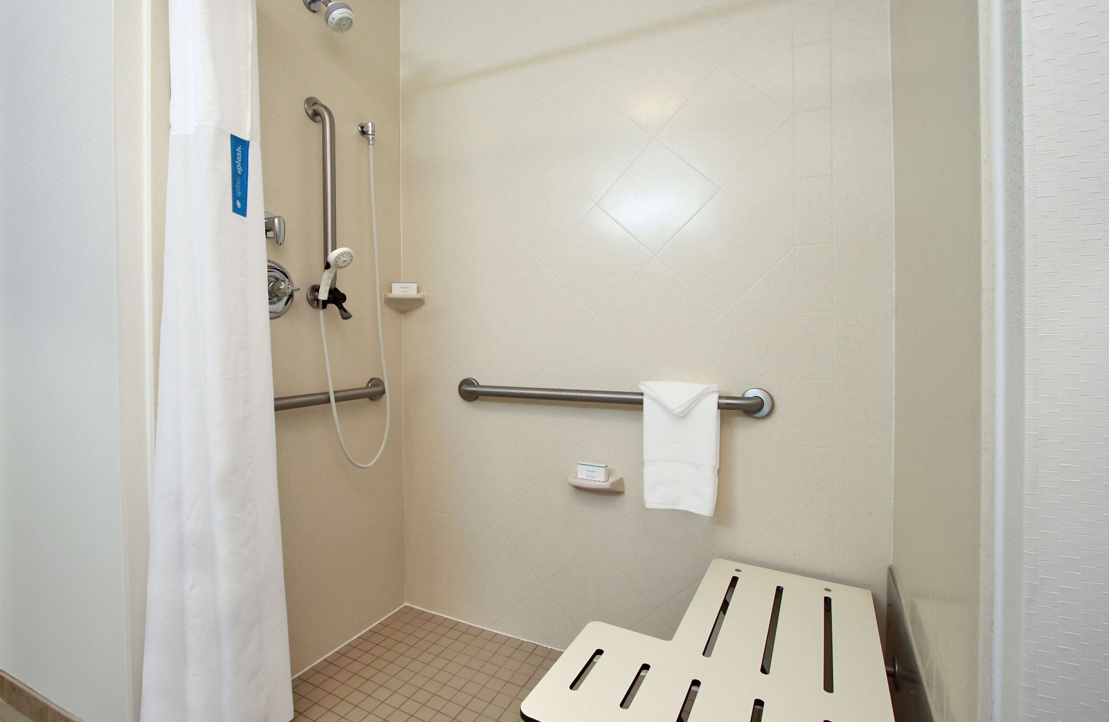room, 1 king bed, accessible, non smoking | bathroom shower