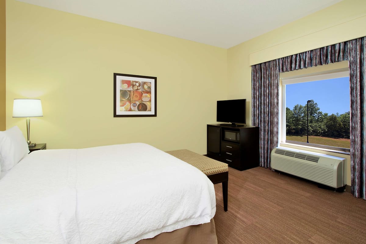 Quarto de hotel com uma cama grande, televisão, aquecedor e janela com cortinas.