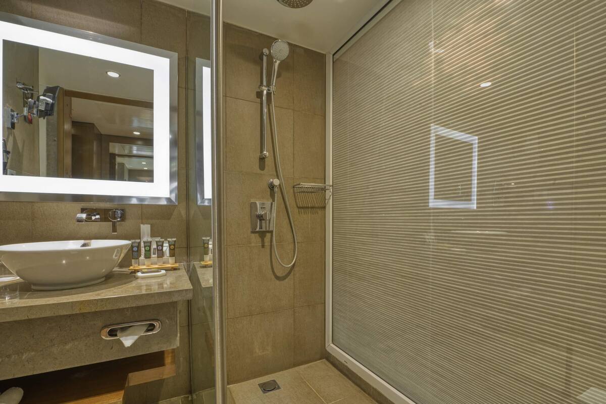 1 bedroom, premium bedding, down duvets, minibar