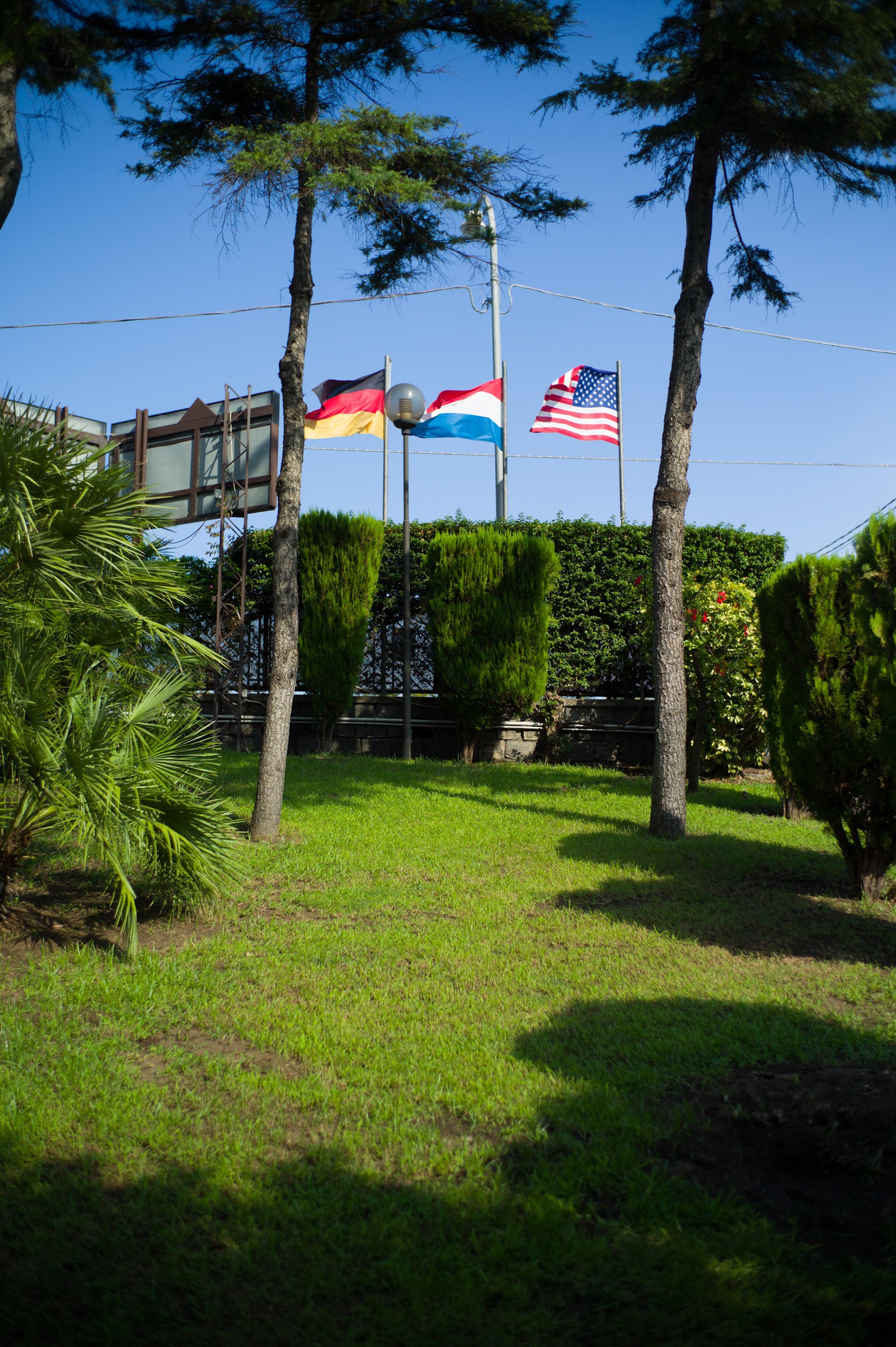 A well-maintained garden with neatly trimmed hedges and a variety of trees.