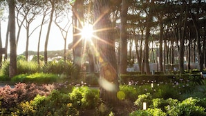 A garden with trees and plants, a pathway, and a body of water in the background. - Fabulous Village (Rome)