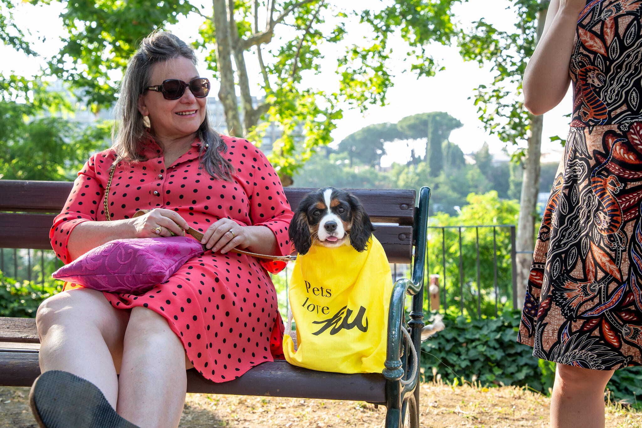 A person sitting on a bench with a dog wearing a yellow bag.