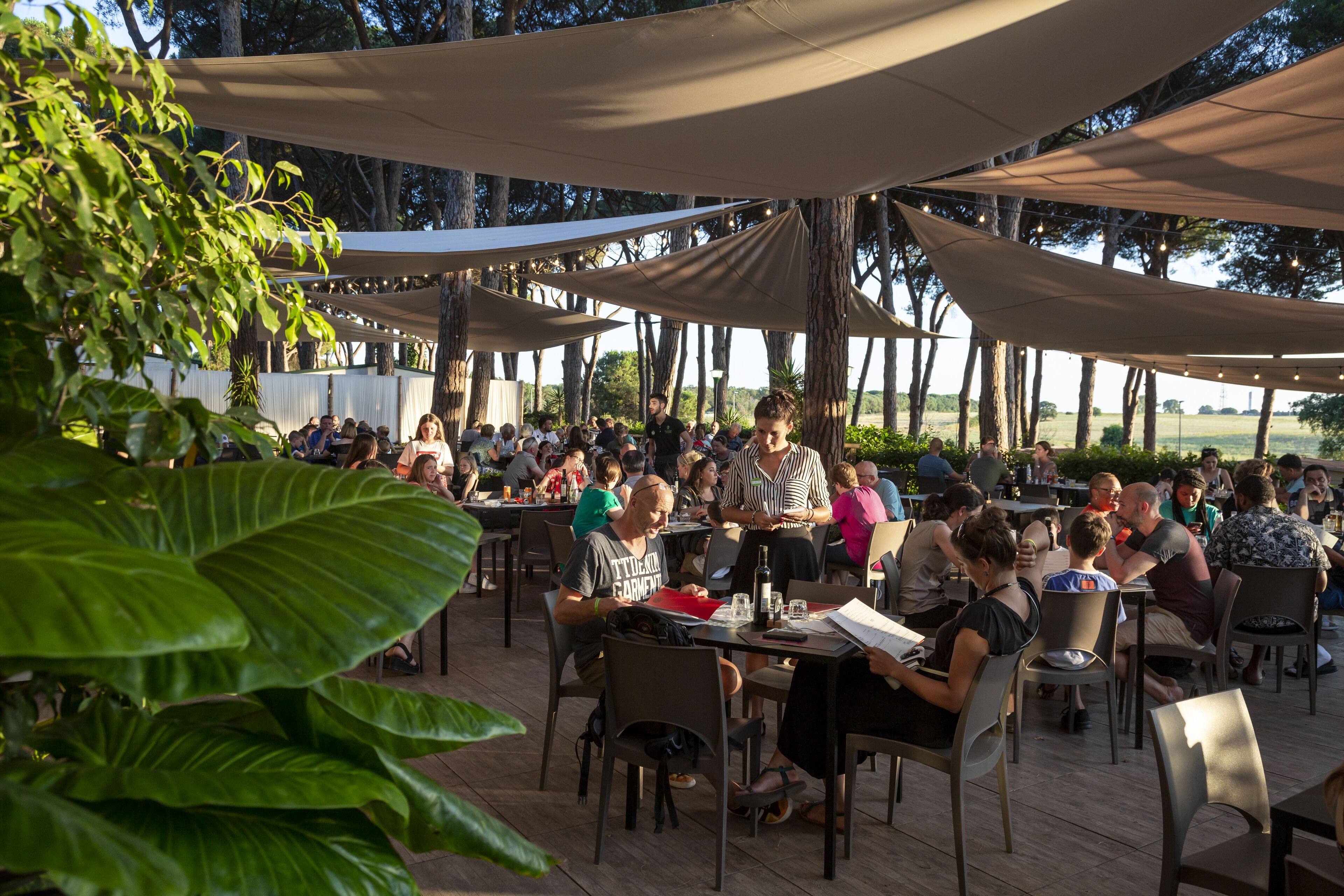 An outdoor dining area with tables and chairs, surrounded by trees and covered by large canopies.