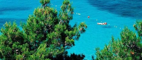 Eine Küstenlandschaft mit klarem, blauem Wasser, dichtem, grünen Küstenwald und einer Person beim Schwimmen.