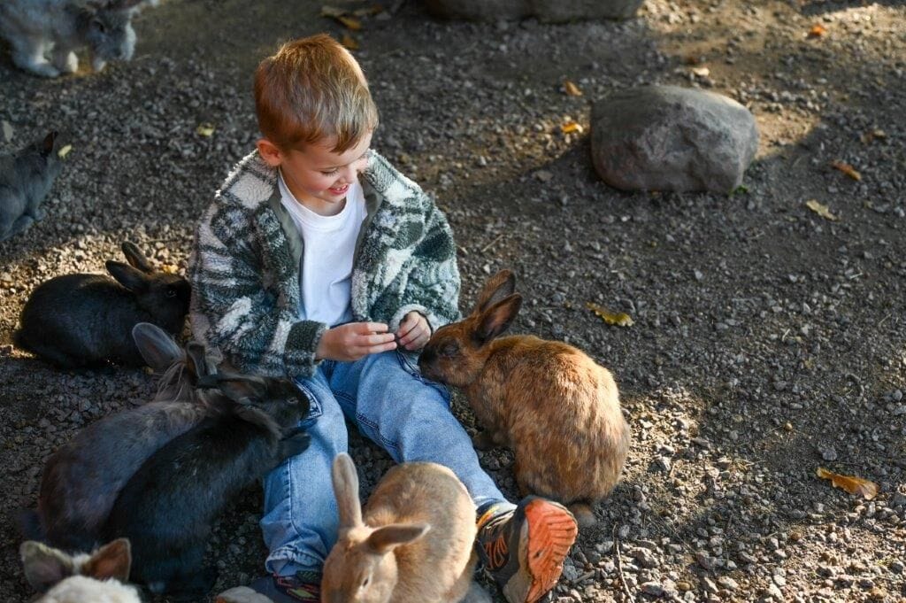 A child sitting on the ground with several rabbits around.