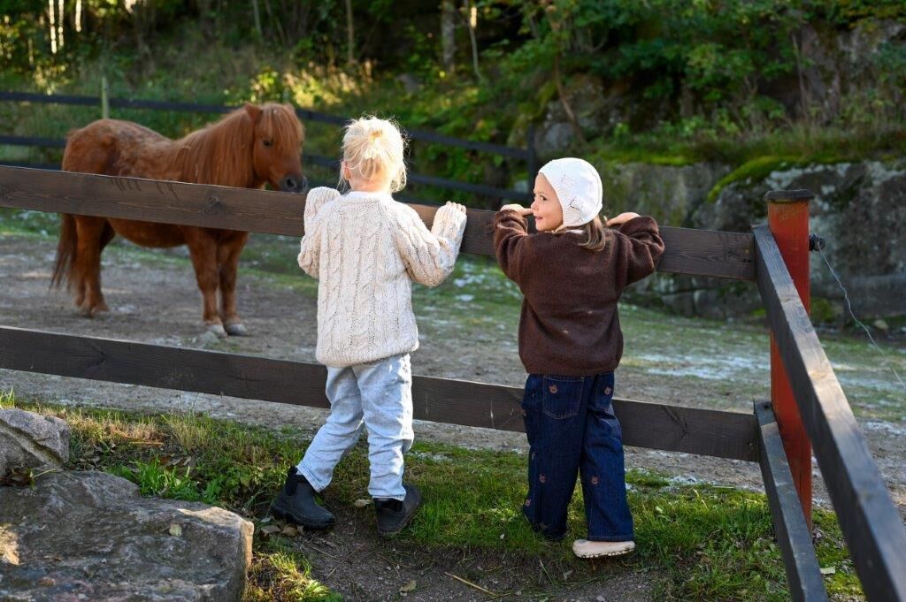 Dos niños observando un caballo a través de una valla de madera en un entorno natural.