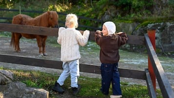 To børn der kigger på en hest gennem et træhegn i et naturområde.