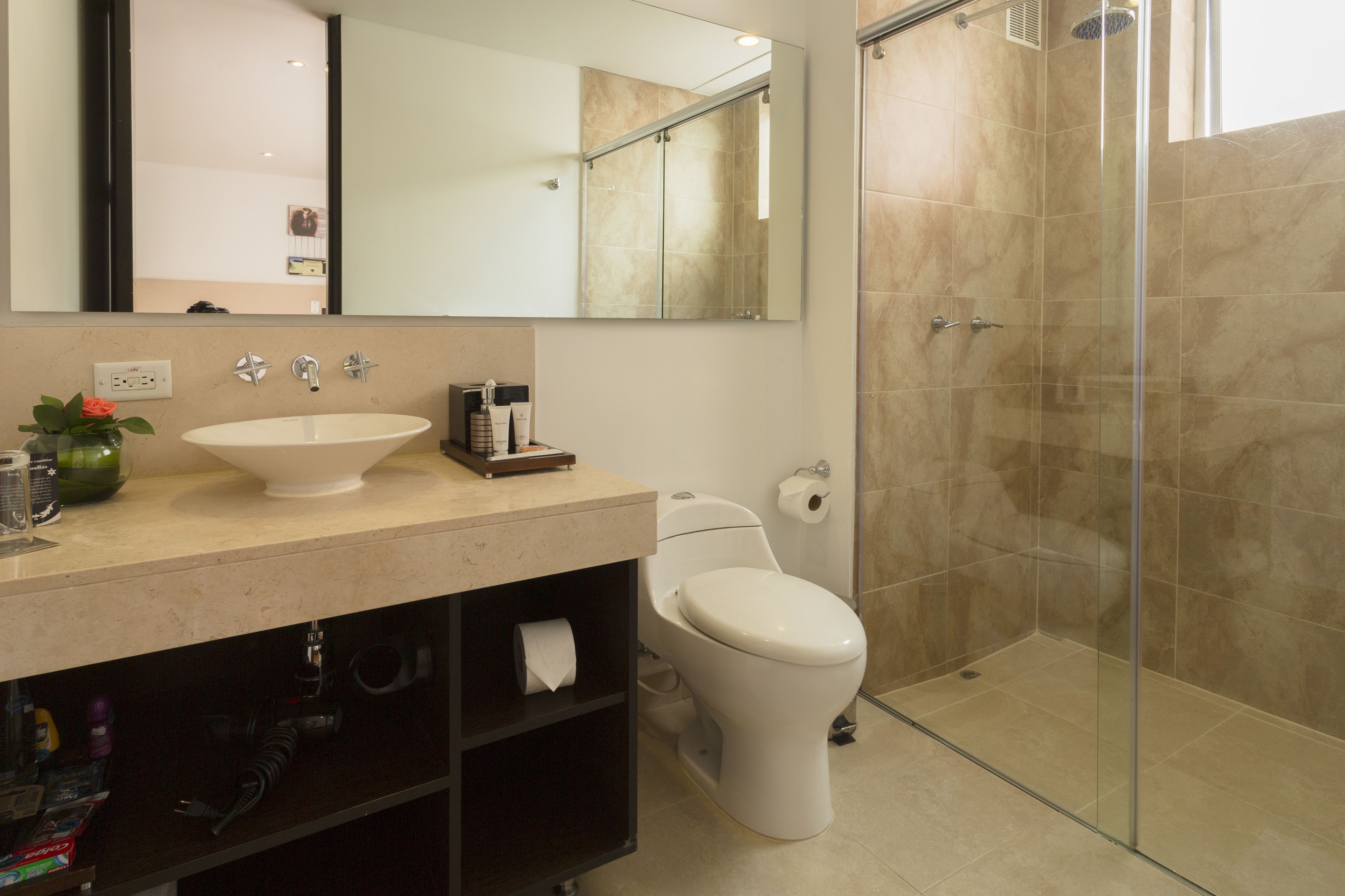 shower, free toiletries, hair dryer, towels