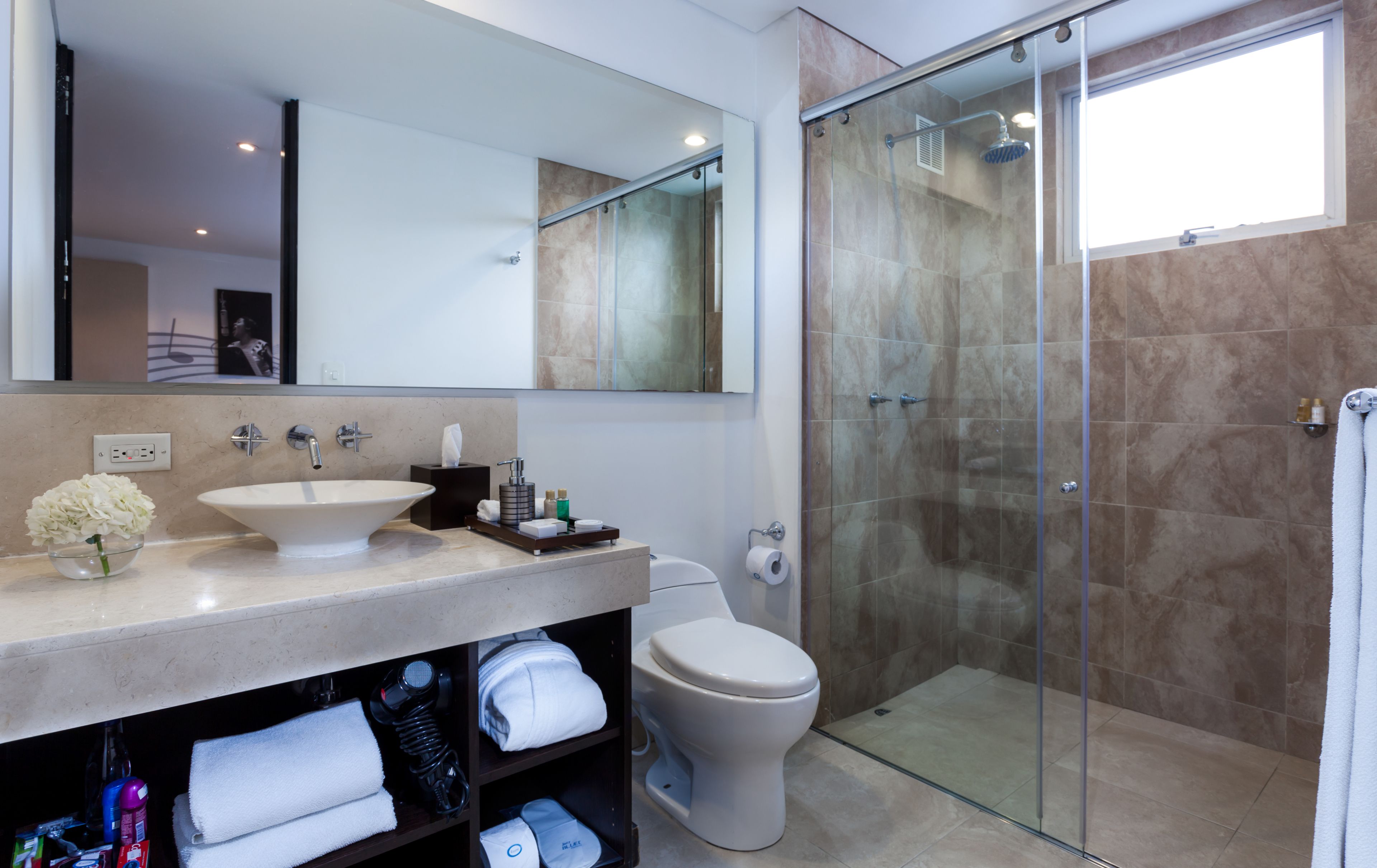 shower, free toiletries, hair dryer, towels