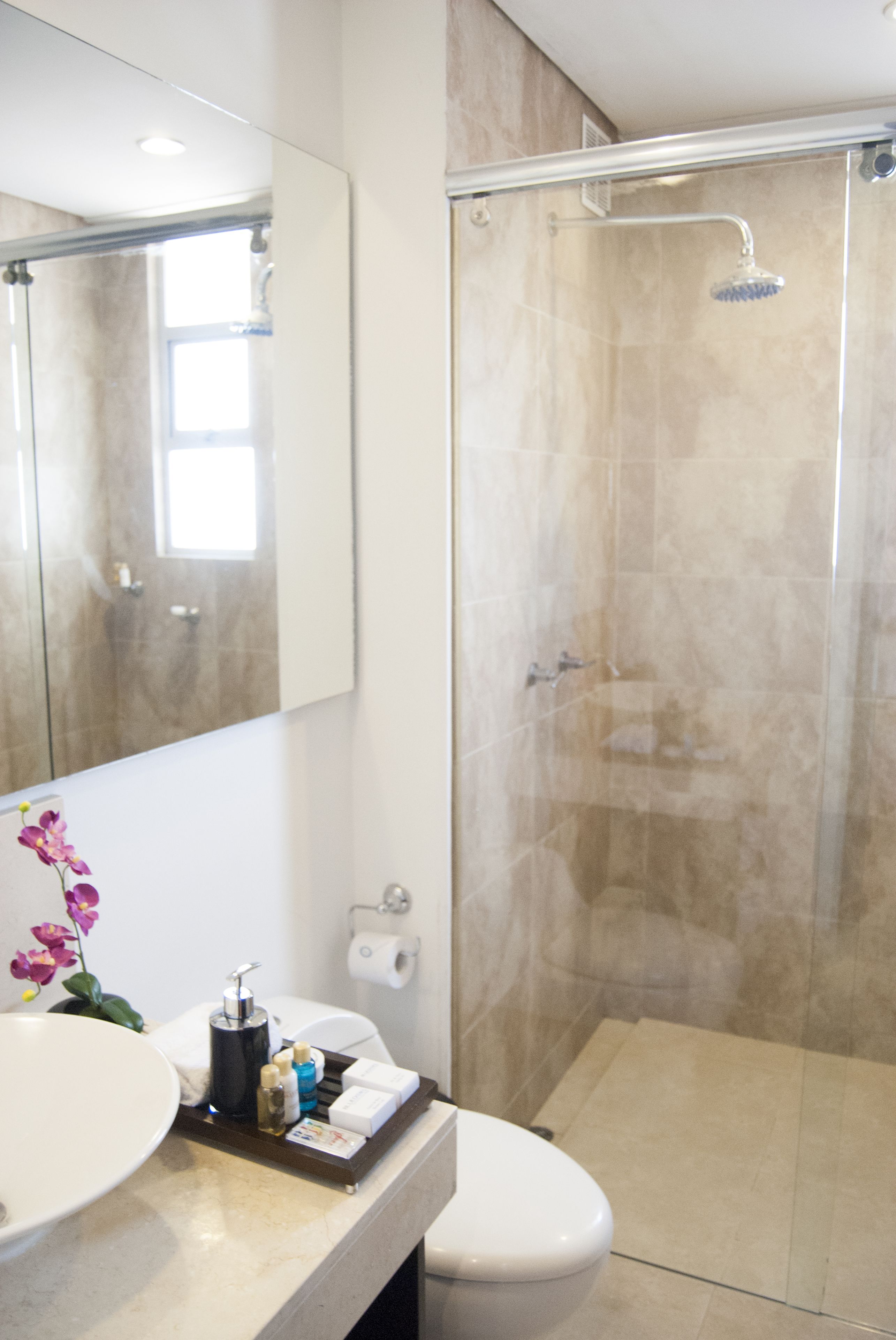 shower, free toiletries, hair dryer, towels