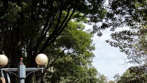 A paved pathway lined with trees and street lamps, with people jogging. - Jazz Apartments Luxury Suites (Bogotá)