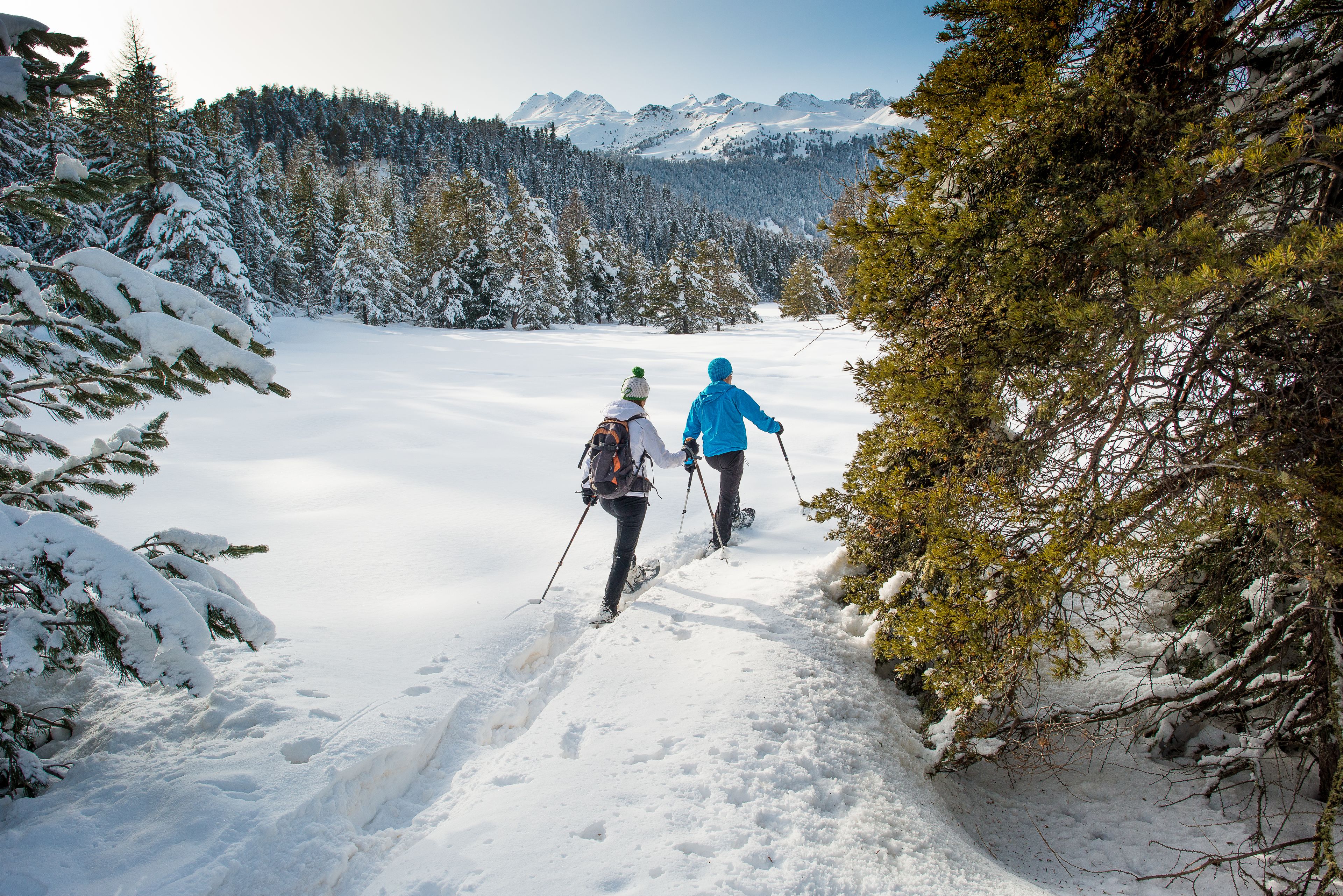Een besneeuwde bosweg met twee mensen aan het wandelen.