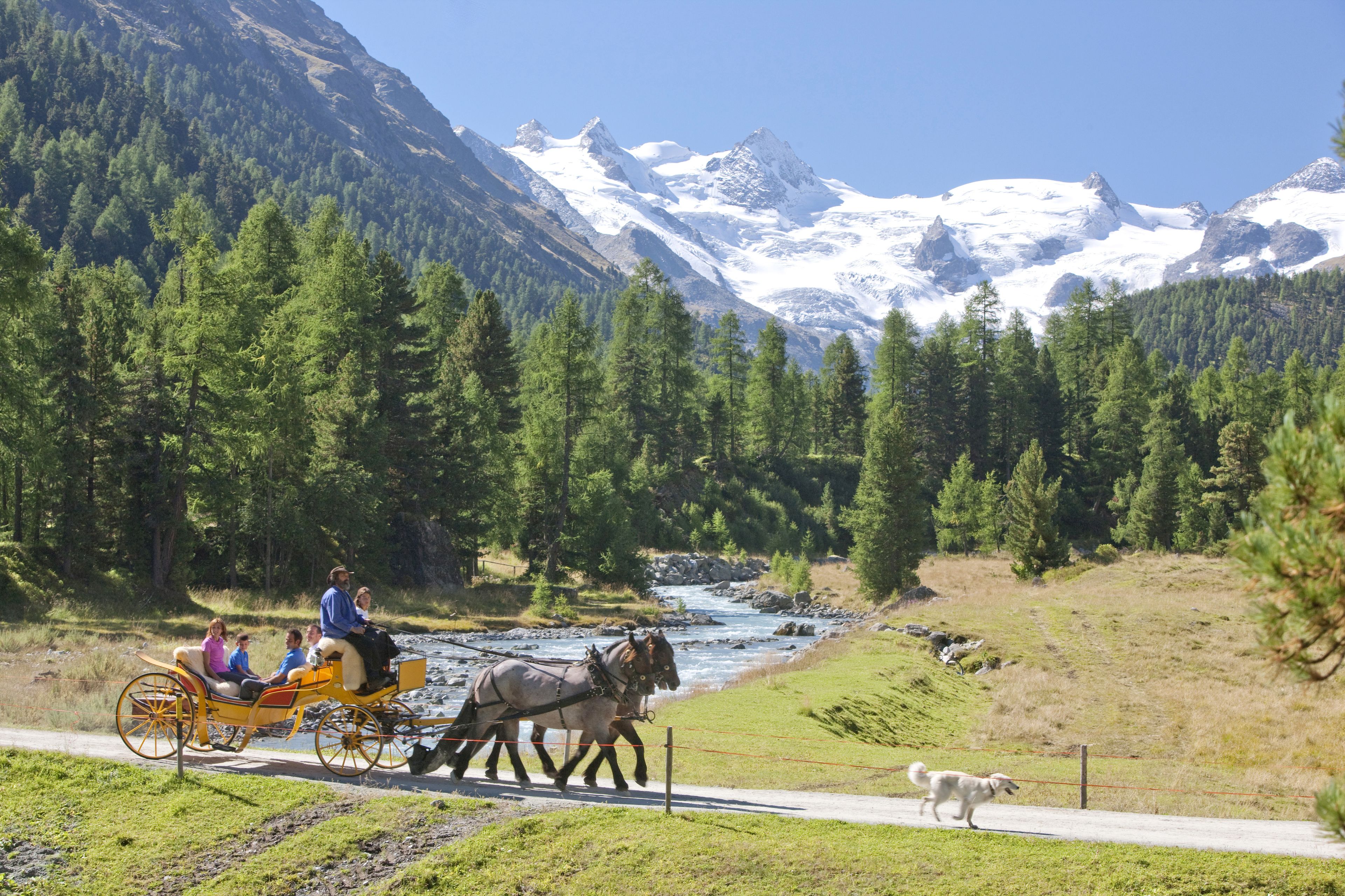 A horse-drawn carriage on a paved path with a dog running beside it, surrounded by a forest and mountains in the background.