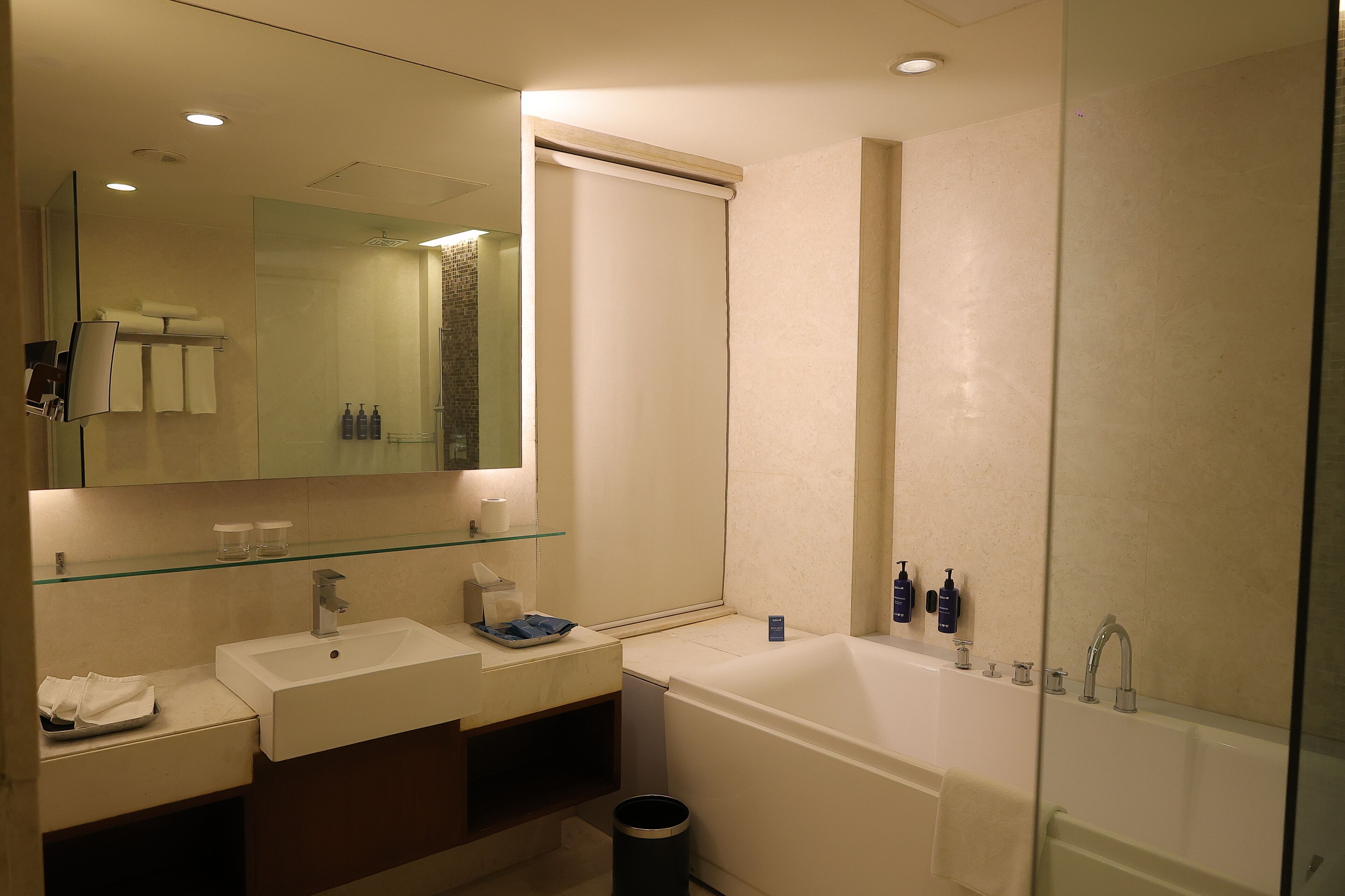 Business Room (Business Class) | Bathroom