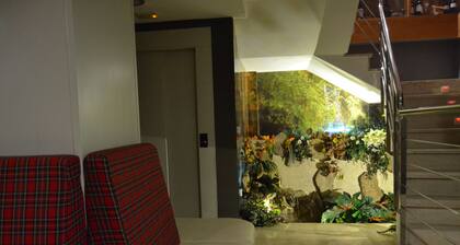 HHB Pontevedra Confort