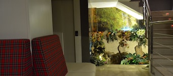 HHB Pontevedra Confort