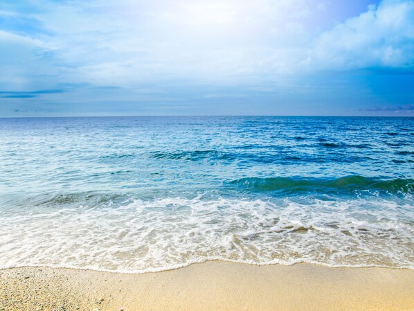 Private beach, sun-loungers, beach volleyball, kayaking - Paraiso Rainforest and Beach Hotel (Omoa)