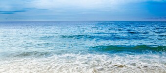 파라이소 레인포레스트 & 비치 호텔