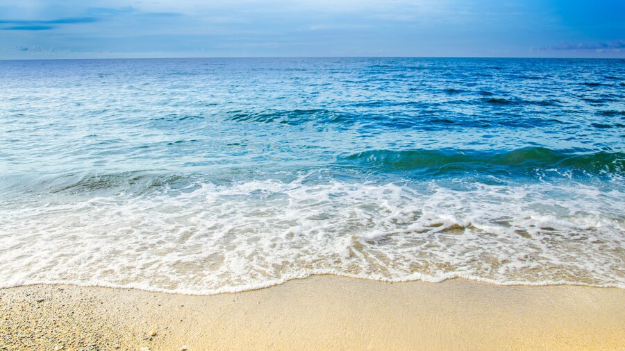 Paraiso Rainforest and Beach Hotel