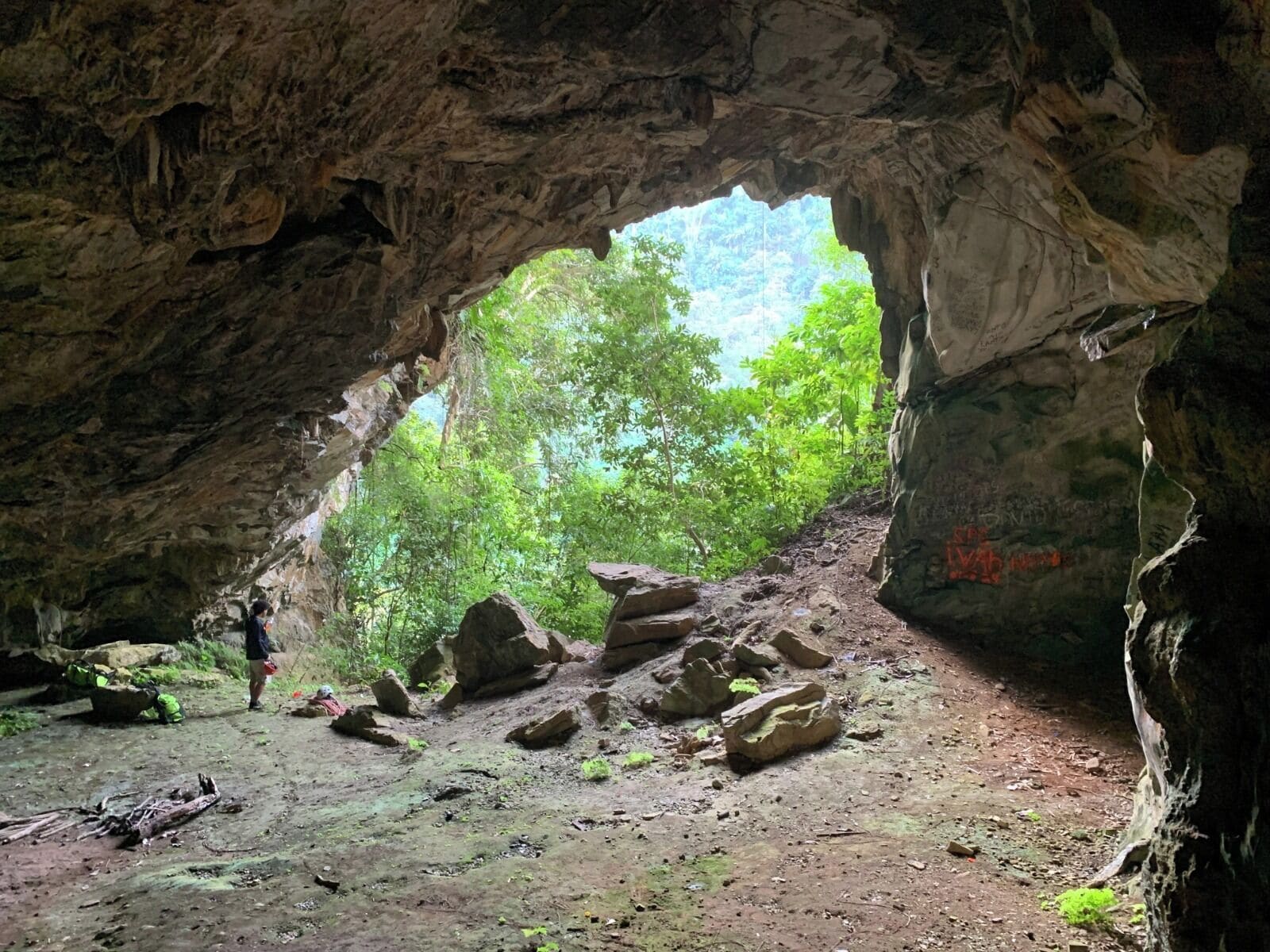 Entrada a una cueva con formaciones rocosas naturales, una persona de pie y vistas de follaje al exterior.
