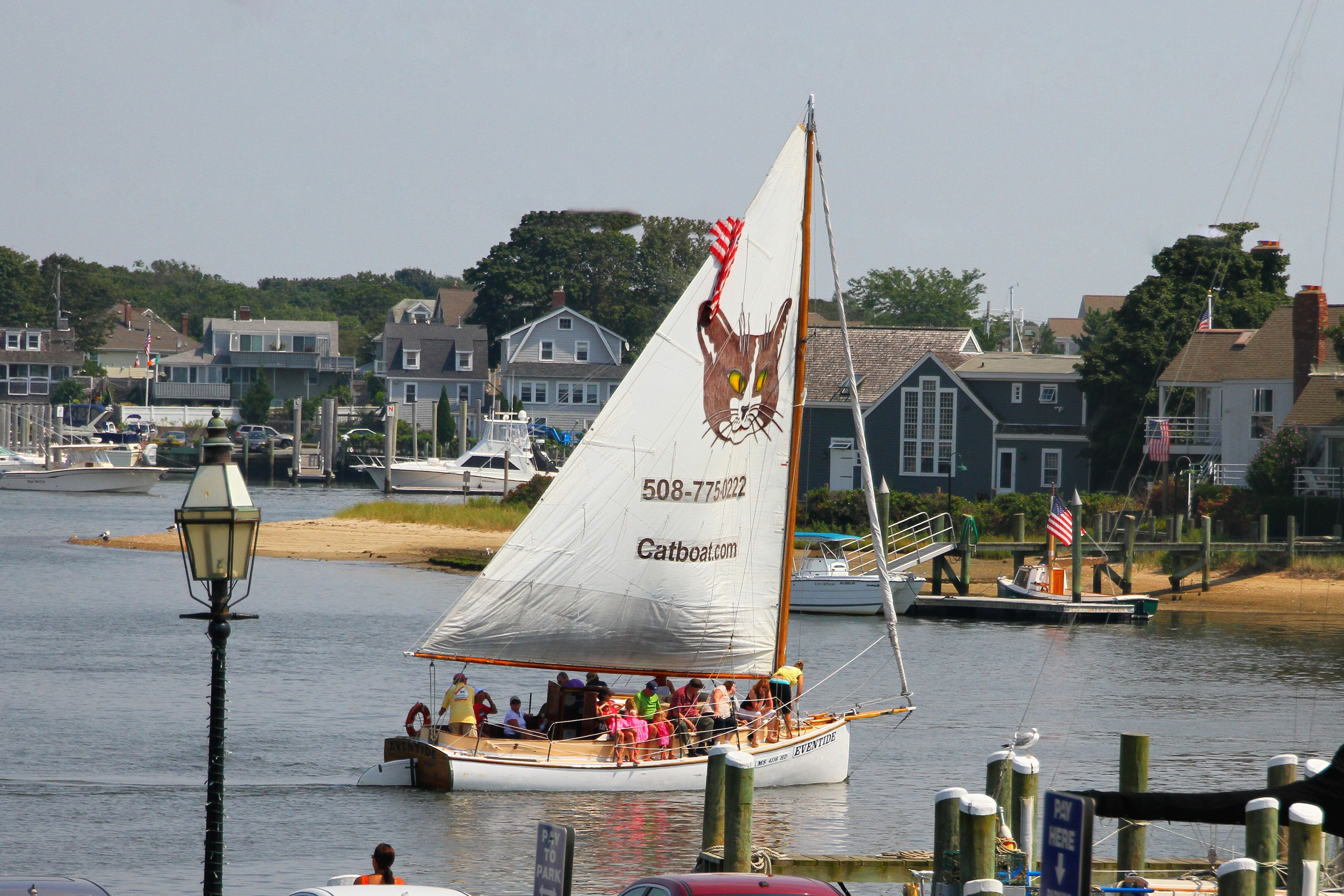 A sailboat with a cat design on its sail, docked at a marina with houses in the background.