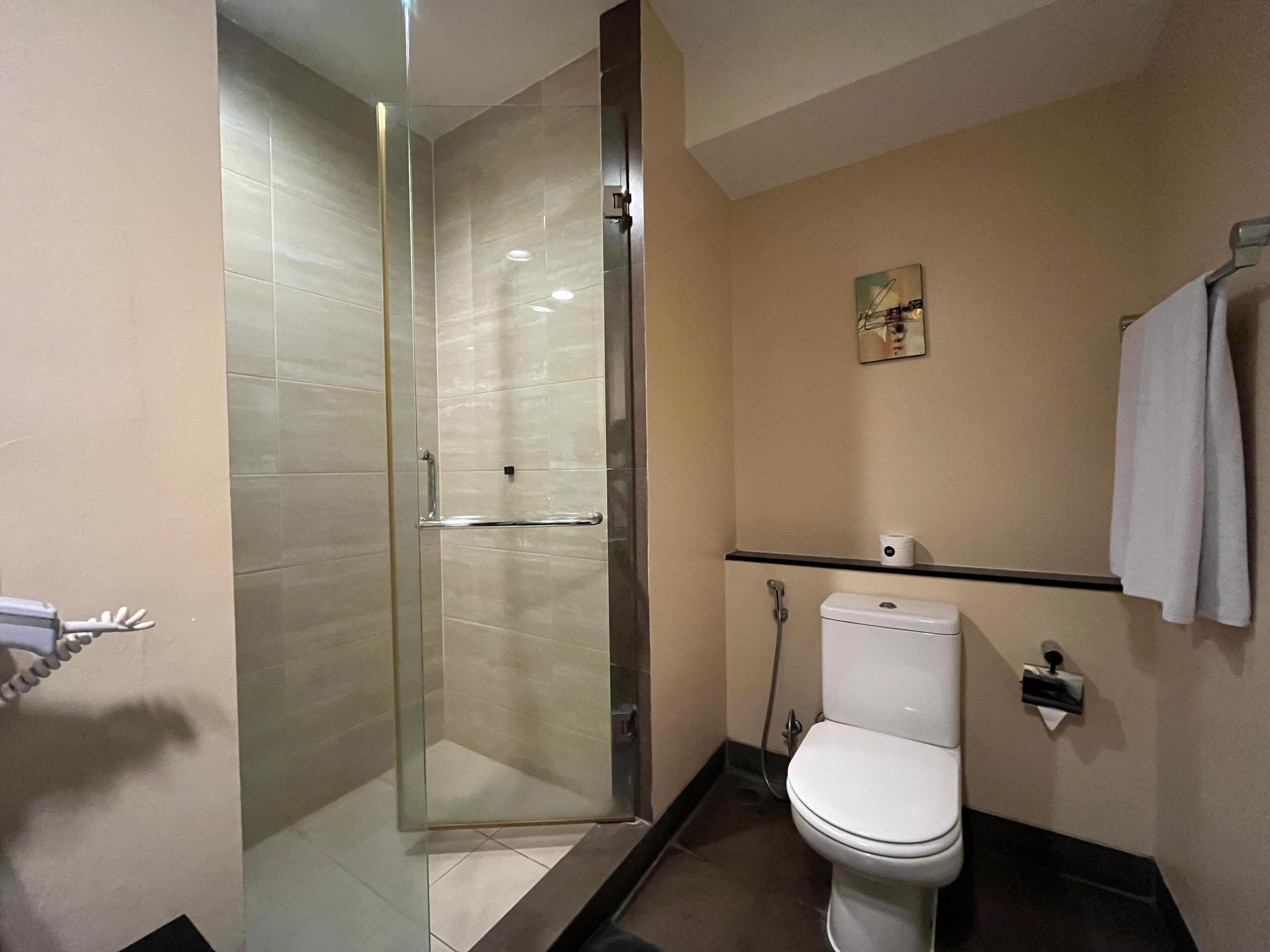 A modern bathroom with a glass shower enclosure, a toilet, and a towel rack.