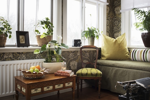 1 habitación, decoración personalizada y muebles diferentes