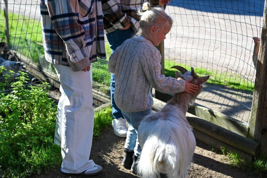 Uma pessoa acariciando um cão branco em uma área cercada, com um poste de madeira e vegetação ao fundo.