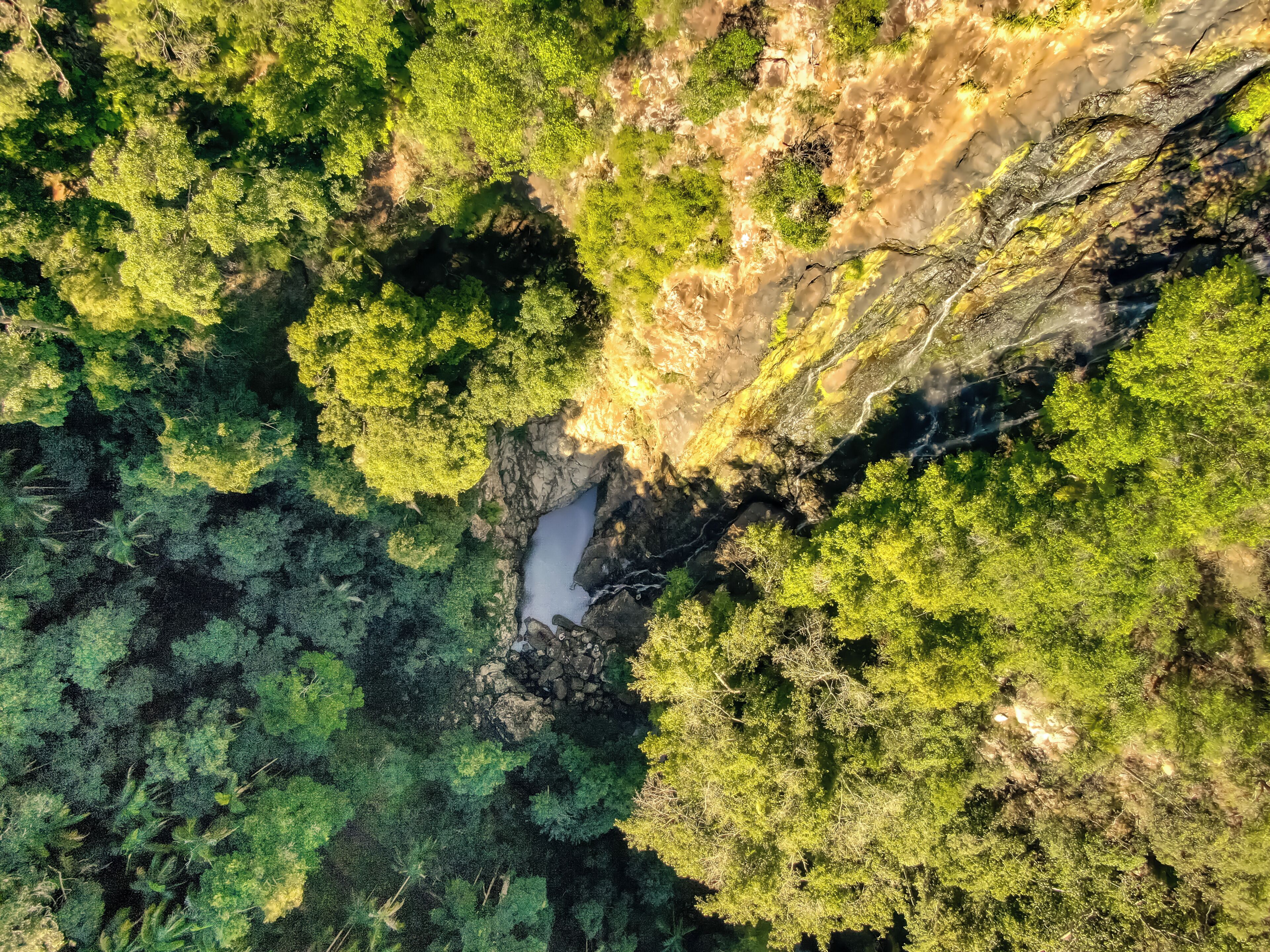 An aerial view of a forested area with a river.