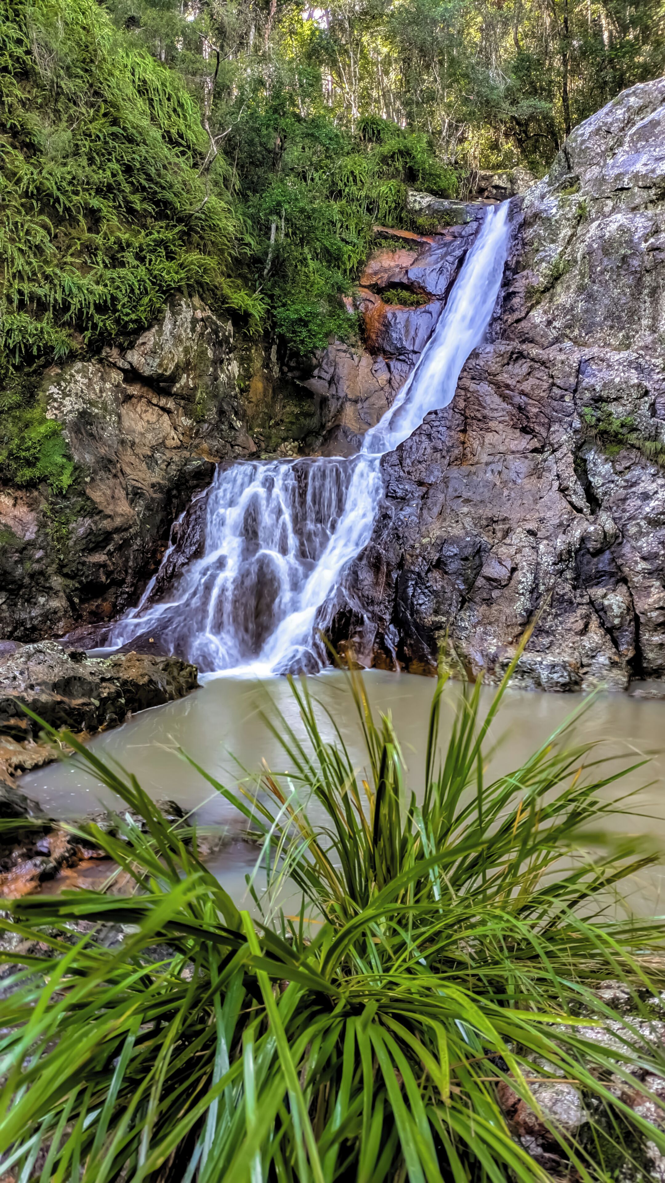 Ein Wasserfall stürzt über Felsen, umgeben von üppiger Vegetation.