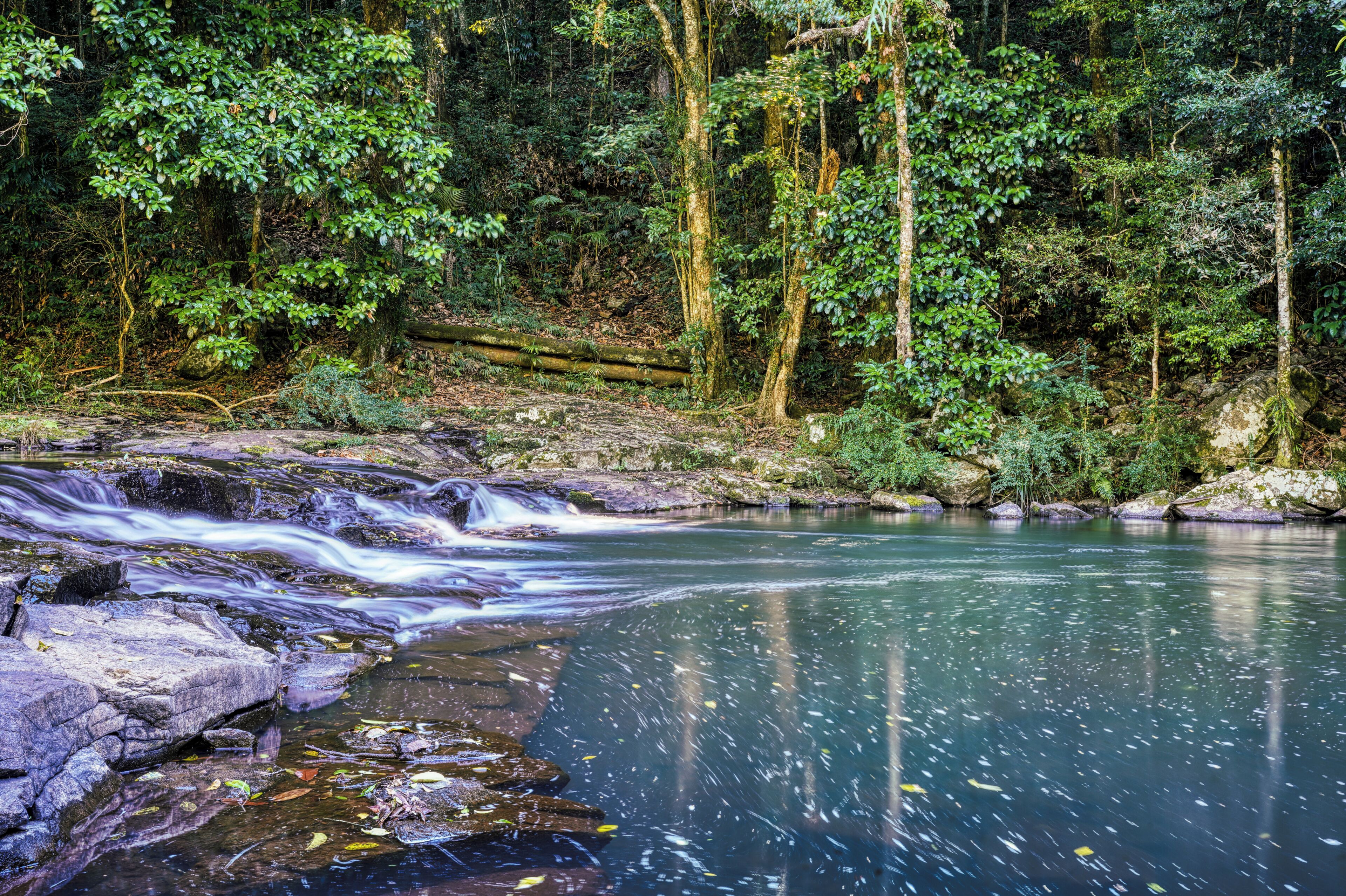 A natural landscape with a flowing river, dense greenery, and rocky terrain.