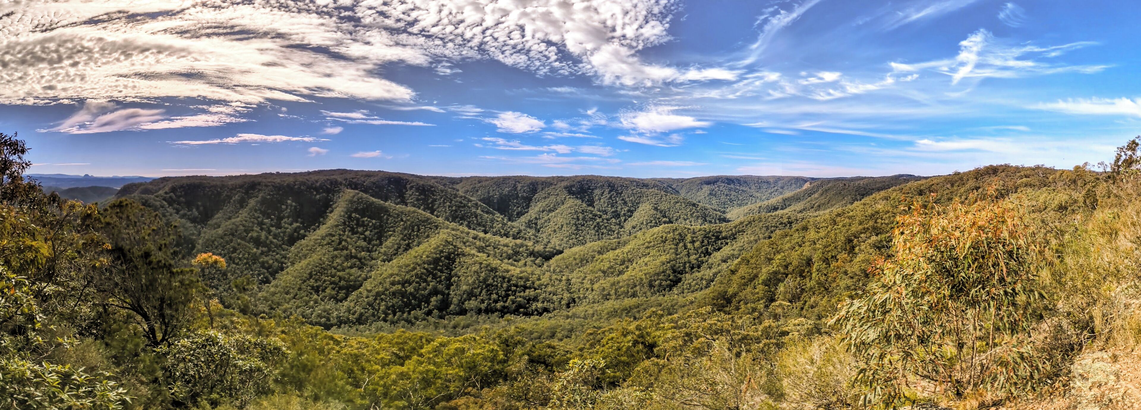 A mountainous landscape with dense forest coverage and a clear sky.