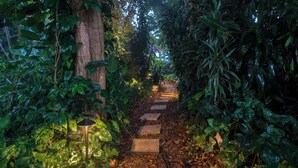 Un chemin de pierres serpente à travers un jardin luxuriant, bordé de chaque côté d’une végétation dense.