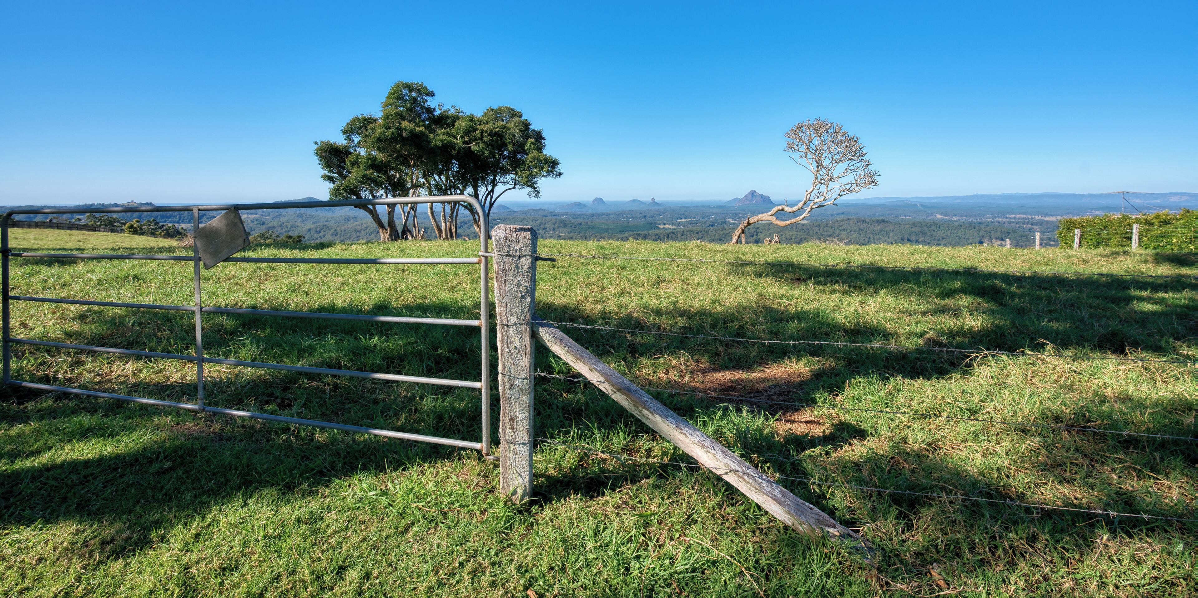A rural landscape with a metal gate, a tree, and a clear view of distant hills.