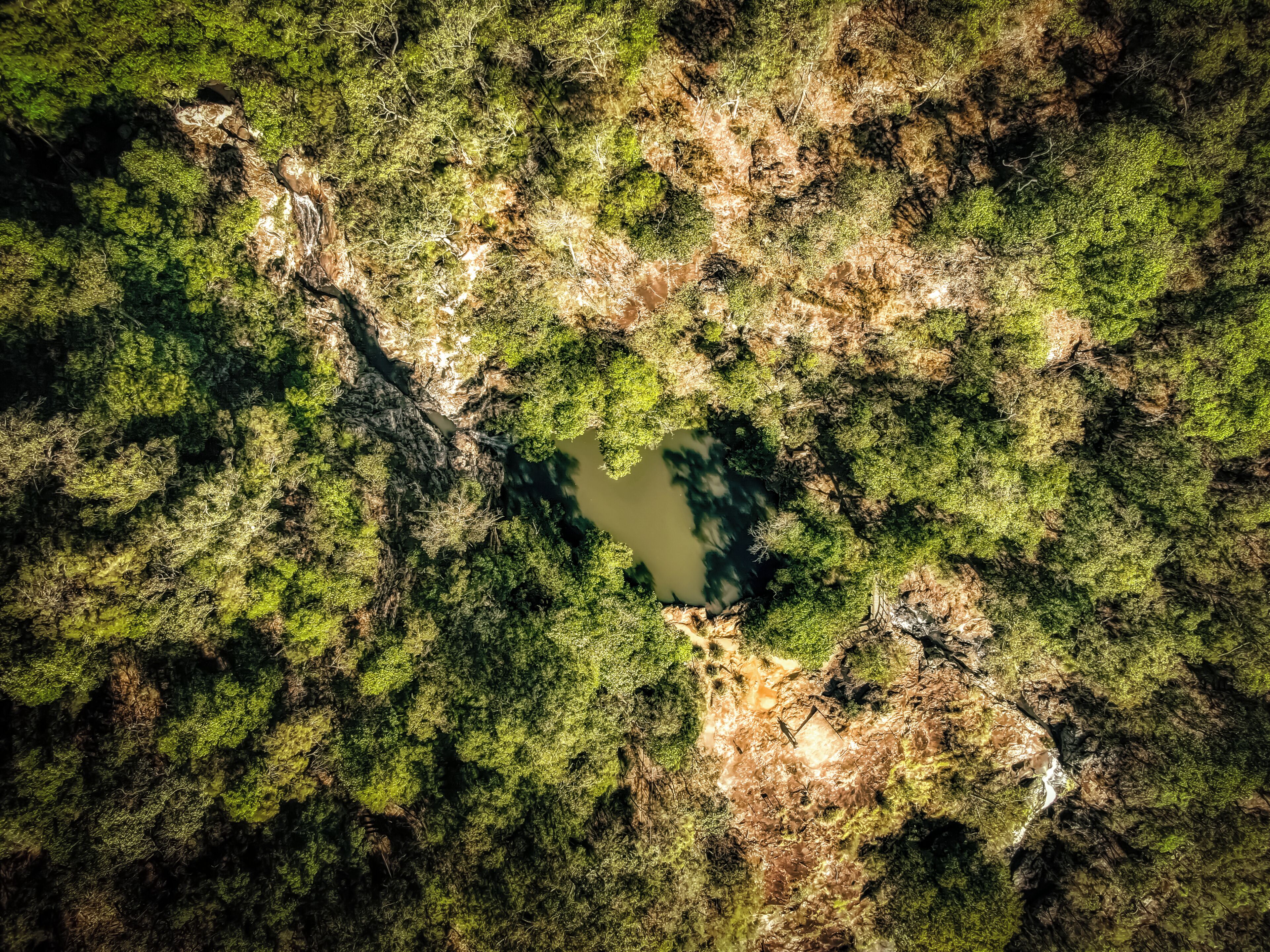 Vista aérea de una zona boscosa con un pequeño estanque.