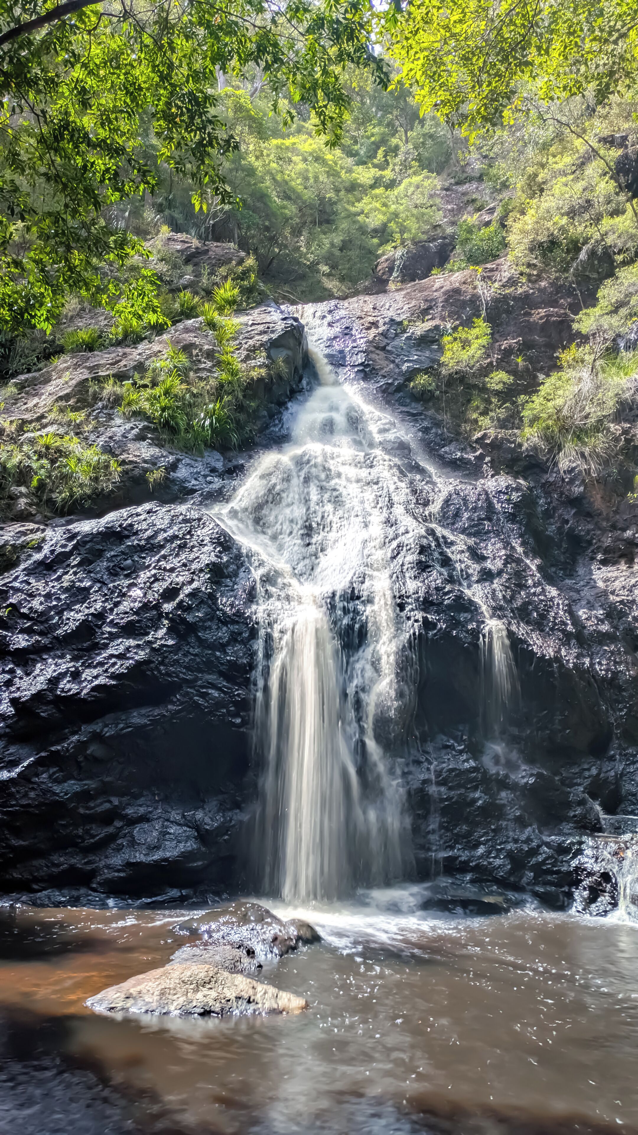 A waterfall in a forested area with rocky terrain and greenery.