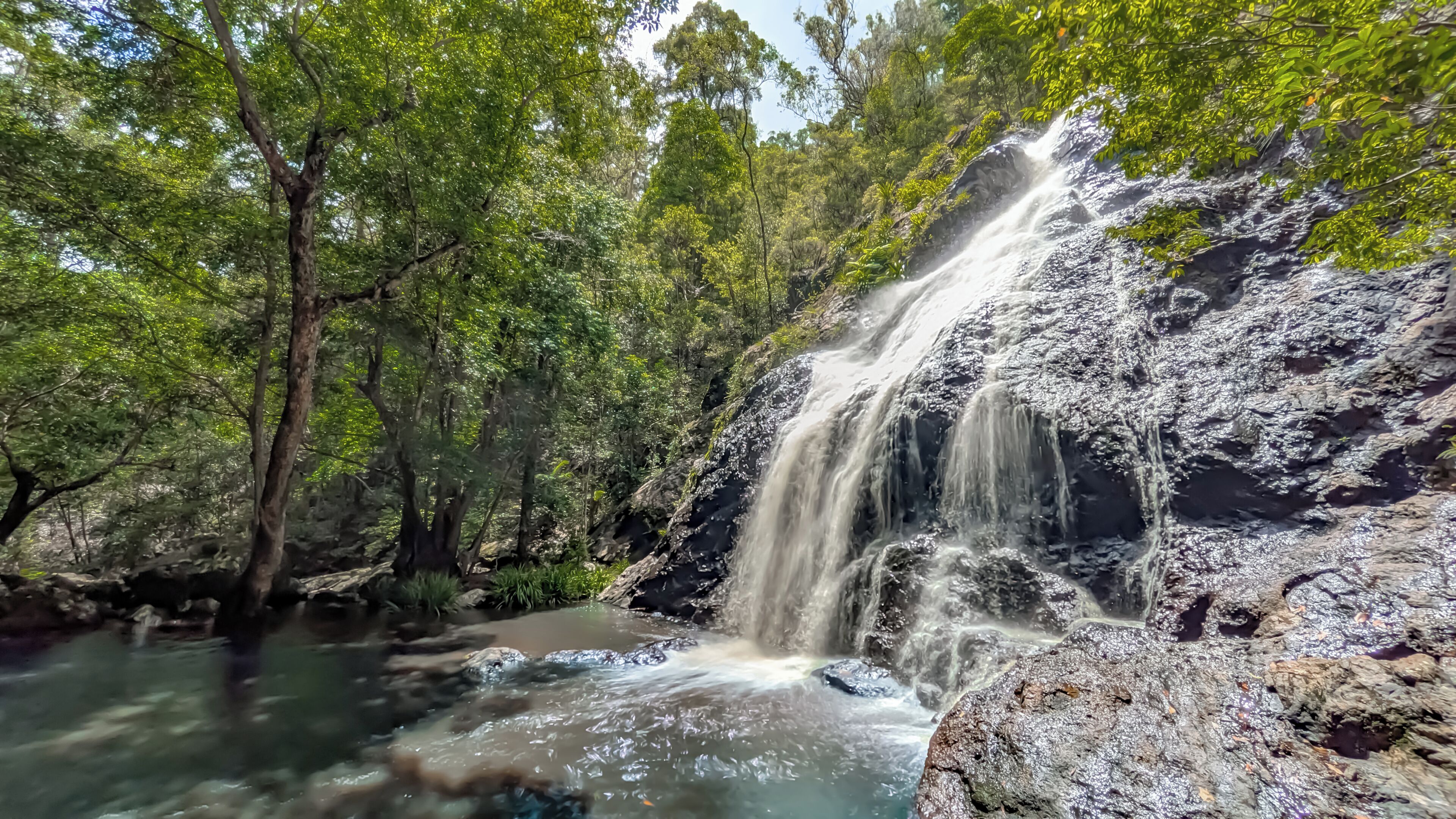 A waterfall surrounded by dense green foliage.
