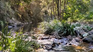 Un paisaje natural con un arroyo, rocas y vegetación.