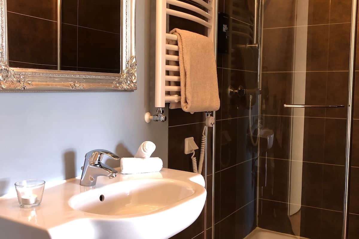 shower, free toiletries, hair dryer, towels