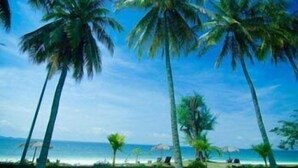 A beach scene with tall palm trees and a clear blue sky. - Aseania Resort Pulau Besar (Pulau Besar)