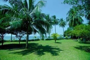Property grounds - Aseania Resort Pulau Besar (Pulau Besar)
