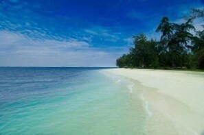Trên bãi biển, cát trắng, ghế dài tắm nắng, dù trên bãi biển 