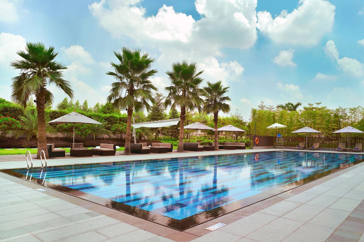 outdoor pool, pool loungers