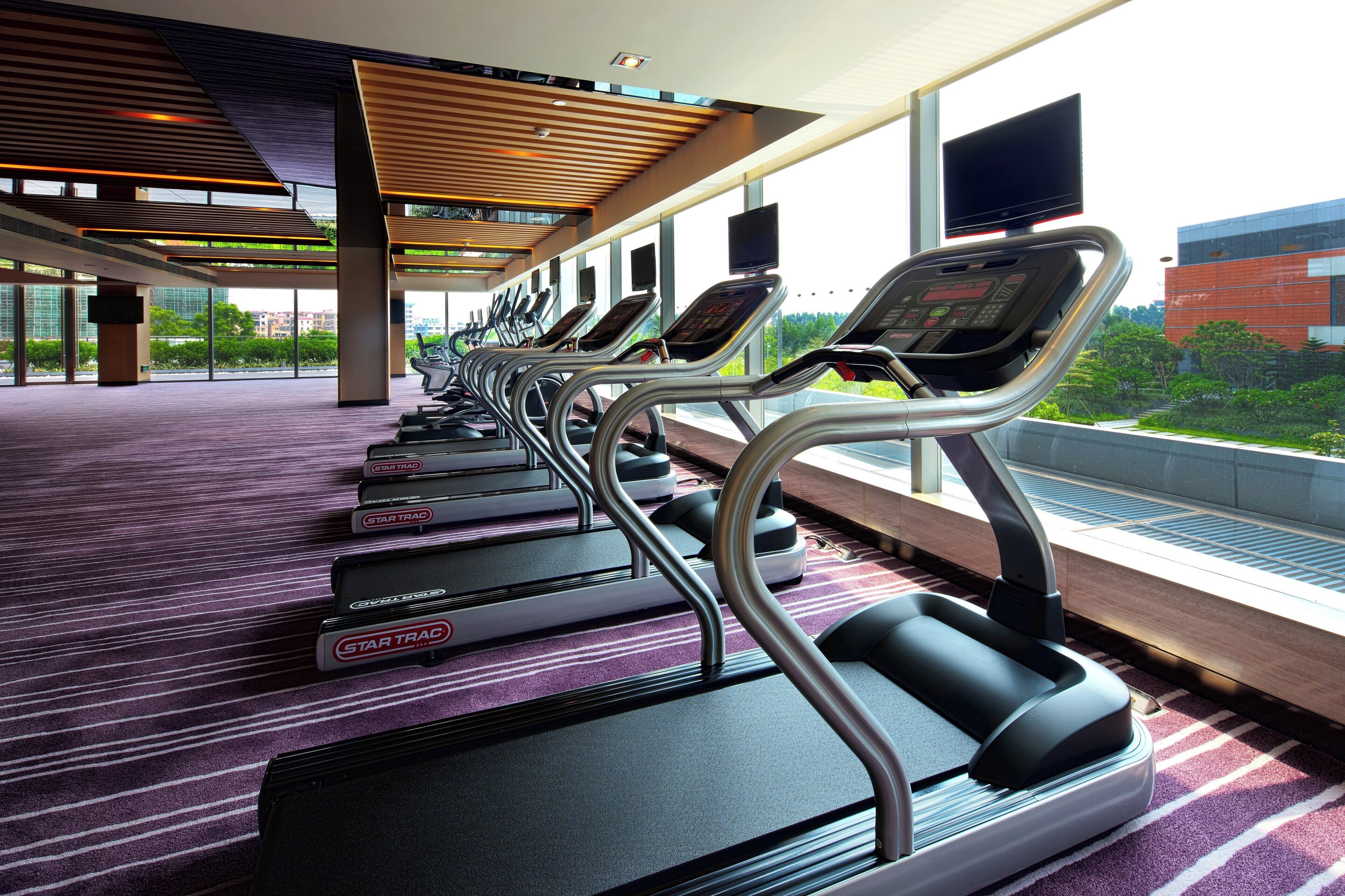 A row of treadmills in a modern fitness center with large windows and a view of greenery outside.
