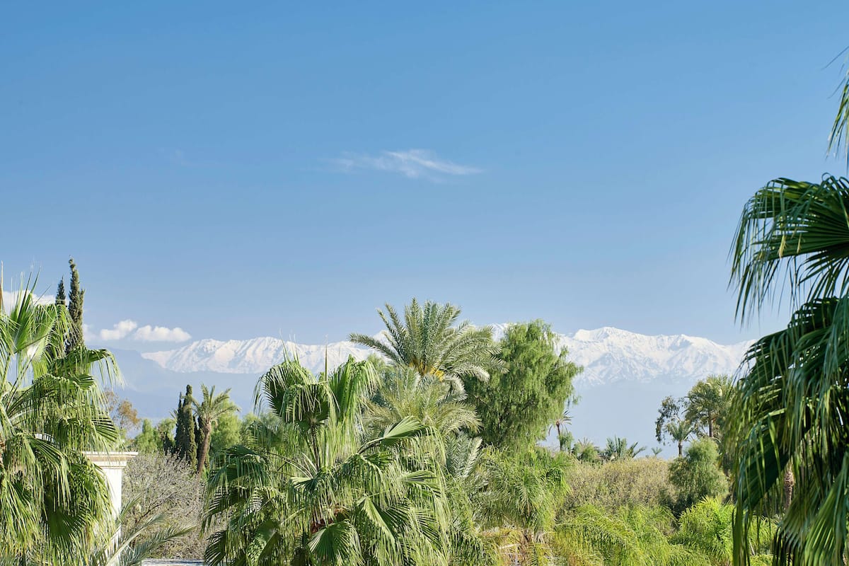 A lush landscape with palm trees and a mountain range in the background.