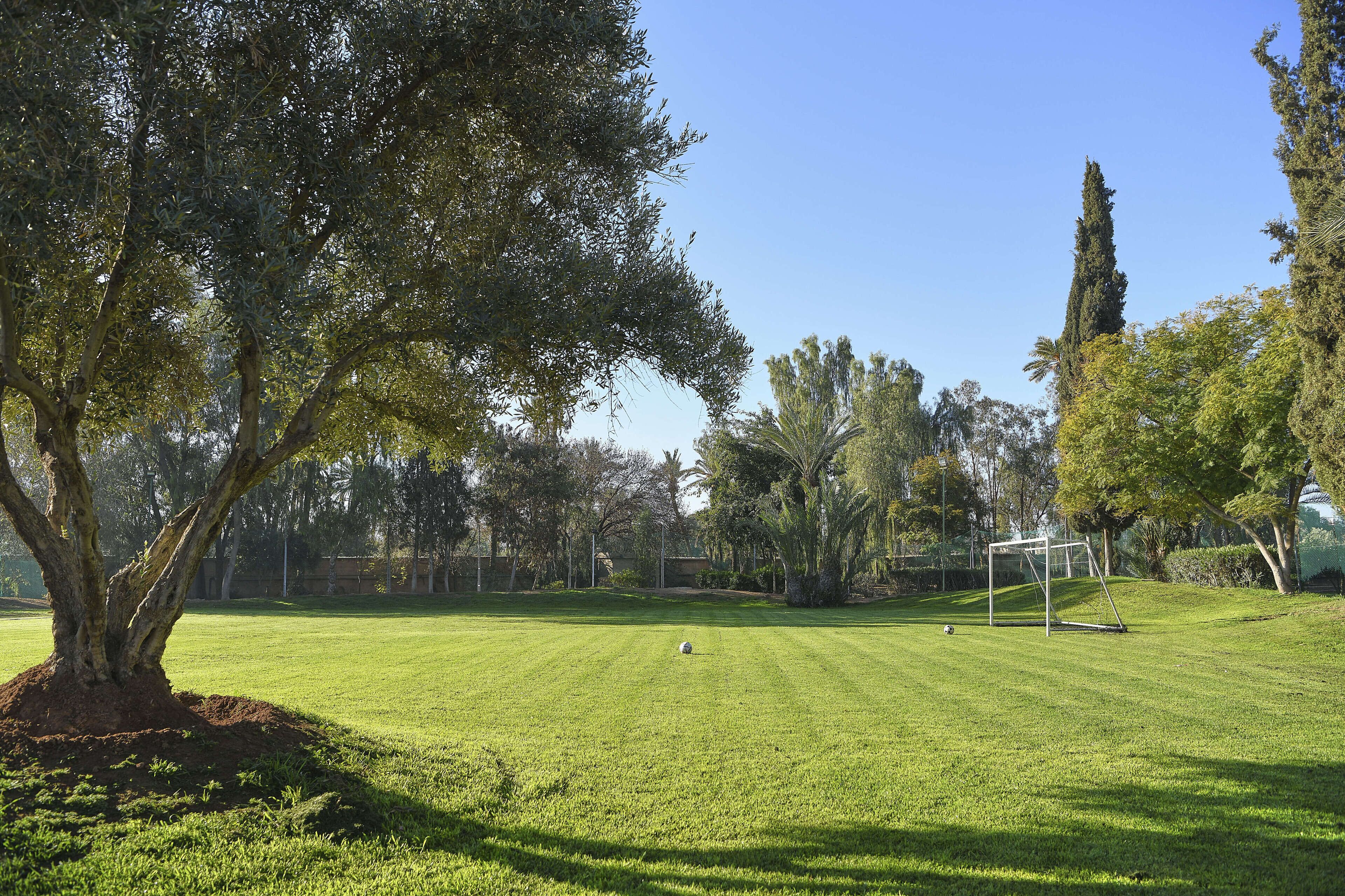Un campo de césped cuidado con una portería de fútbol, rodeado de árboles y un cielo despejado.