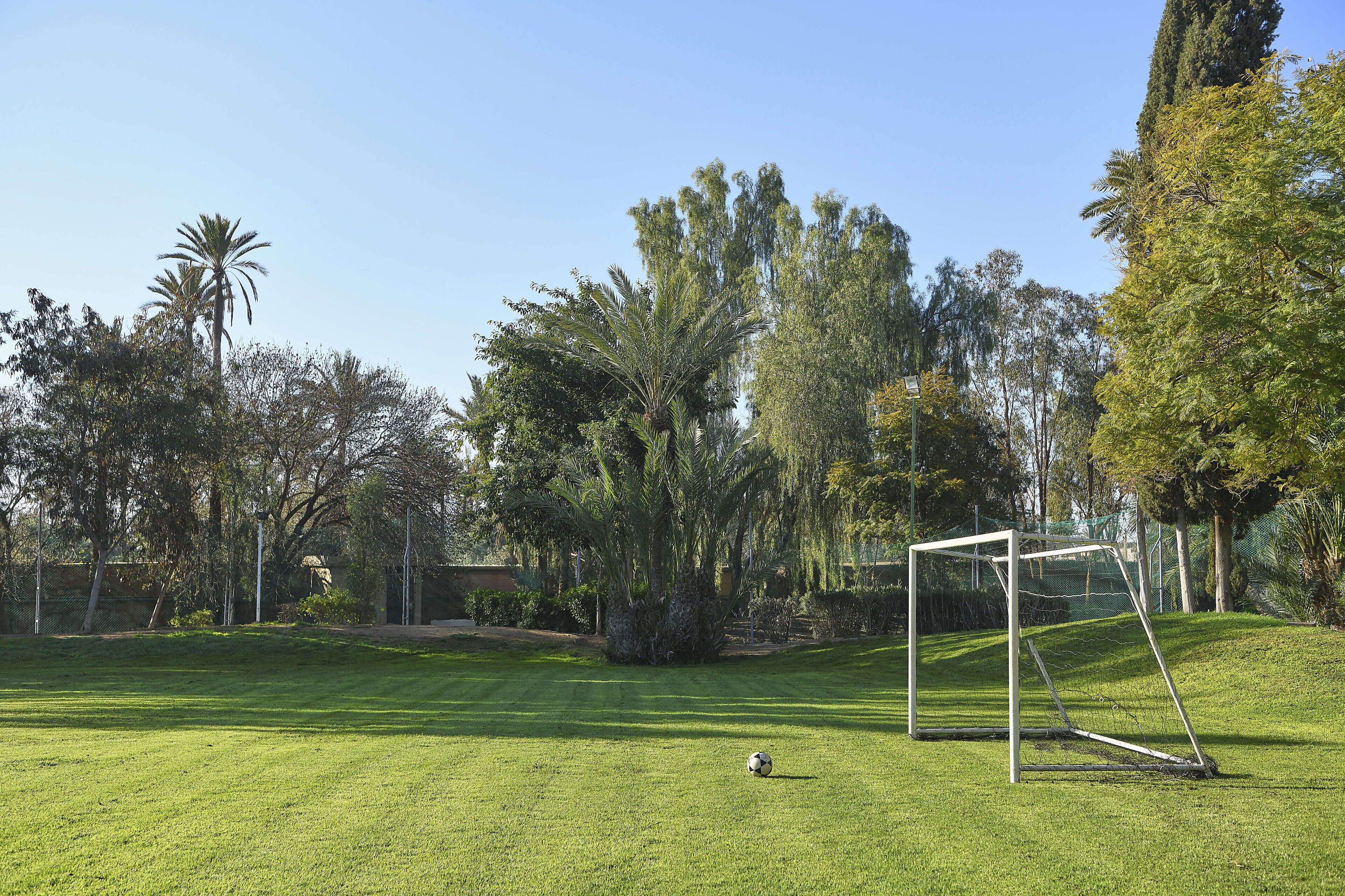 children’s activities