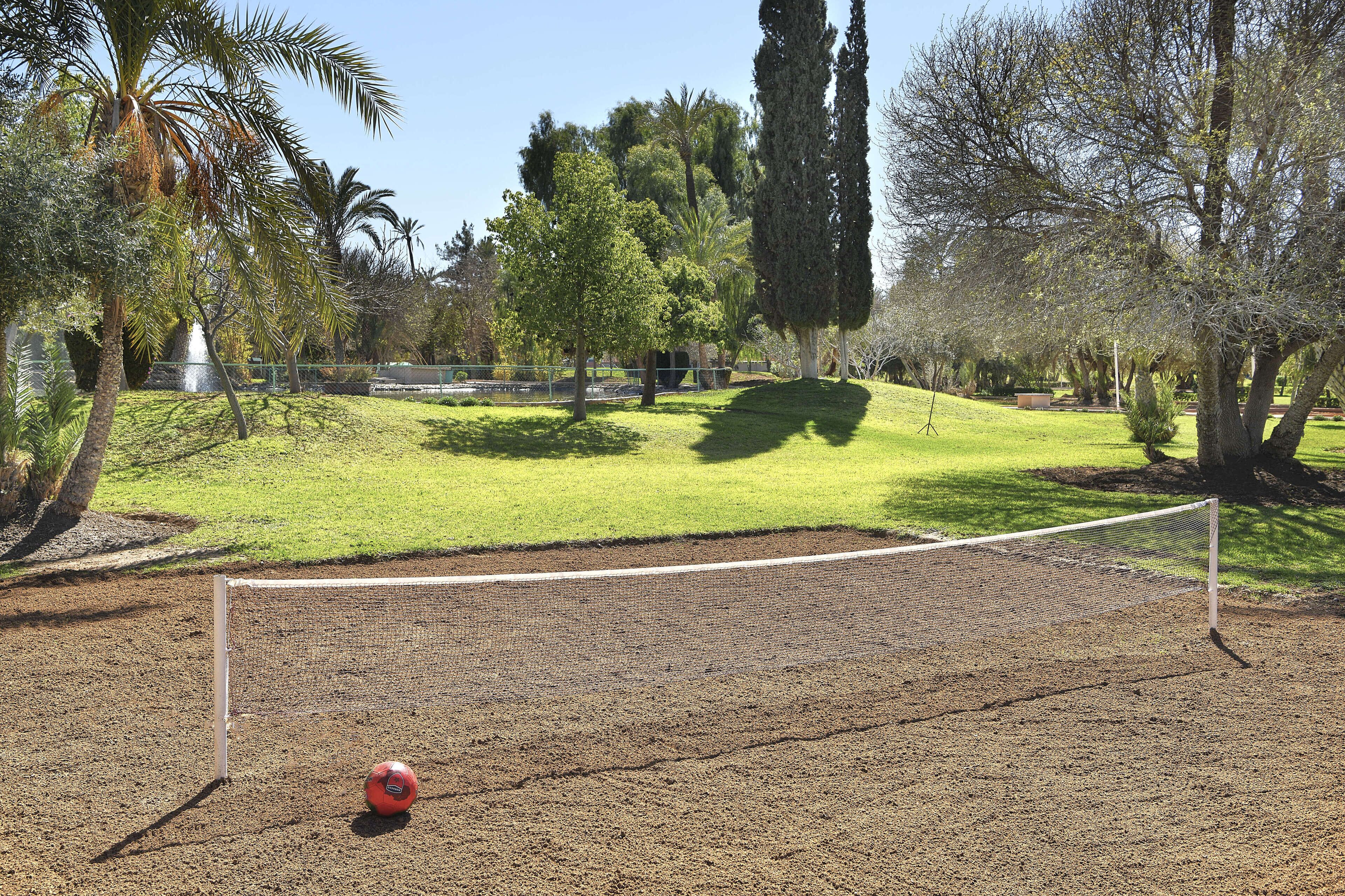Een sportveld met een net, een rode bal en omliggende bomen.